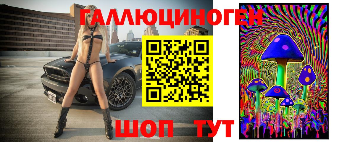 Псилоцибиновые грибы Cubensis Каменка