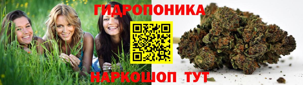 Марихуана ГИДРОПОН  Вход с VPN  Канабис Bruce Banner  Каменка  Бошки марихуана White Widow 